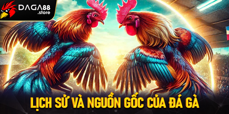 Lịch sử và nguồn gốc của đá gà