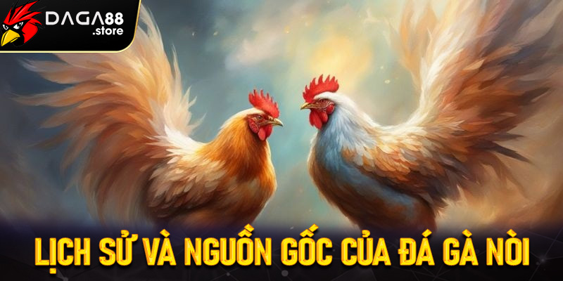 Lịch sử và nguồn gốc của gà nòi