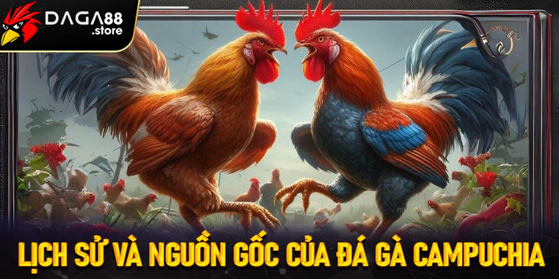 Lịch sử và nguồn gốc của sảnh gà chọi Campuchia
