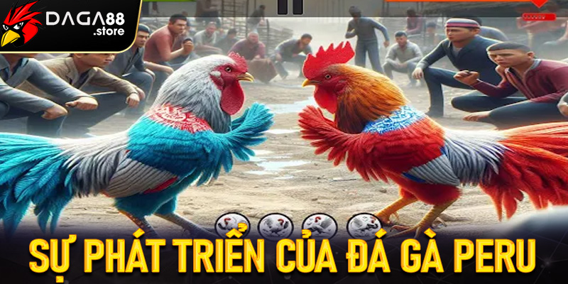 Sự phát triển của Đá gà Peru trong nền văn hóa