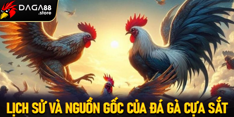 Lịch sử và nguồn gốc của đá gà cựa sắt từ đâu?