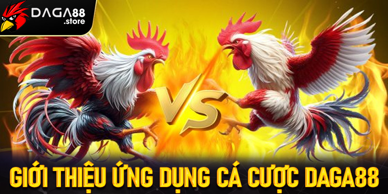 Giới thiệu ứng dụng cá cược tiện lợi daga88