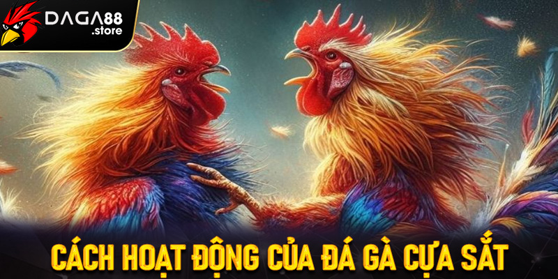 Cách thức hoạt động của cá cược đá gà cựa sắt