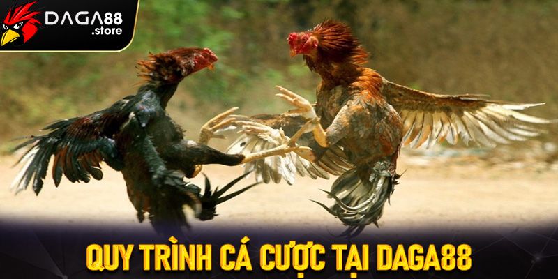 Quy trình cá cược tại Daga88
