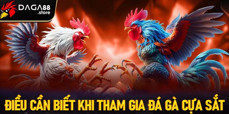 Những kinh nghiệm cần phải biết khi chơi đá gà cựa sắt