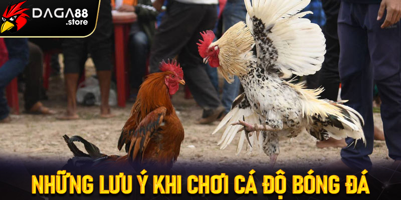 Những lưu ý khi chơi cá độ bóng đá
