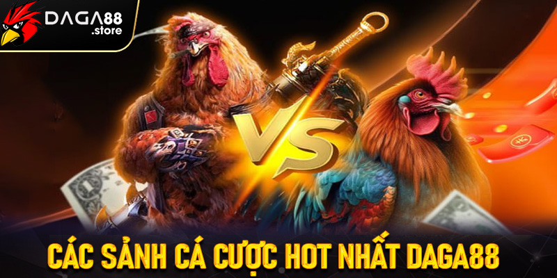 Top các sảnh cá cược hot nhất tại nhà cái Daga88