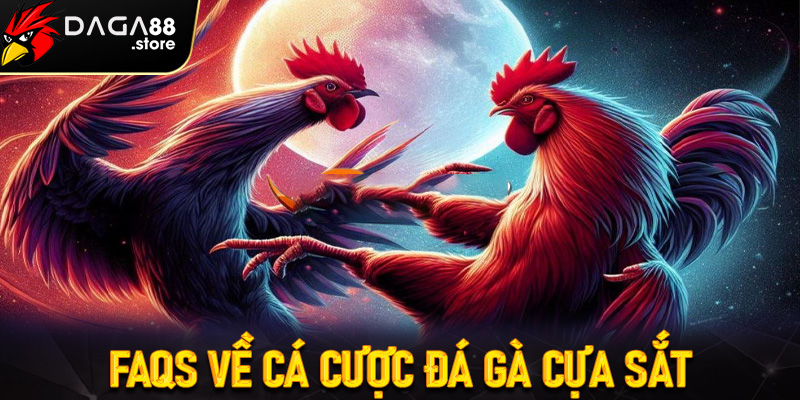 FAQs về cá cược đá gà cựa sắt
