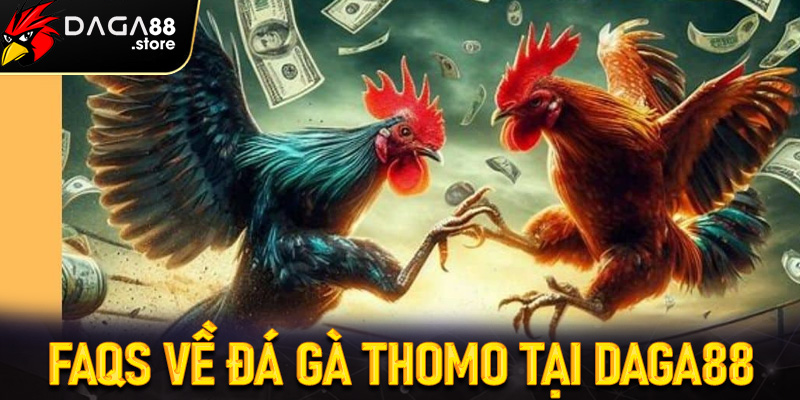 FAQs về Đá Gà Thomo Tại Daga88