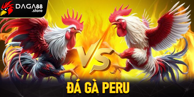 Đá gà Peru