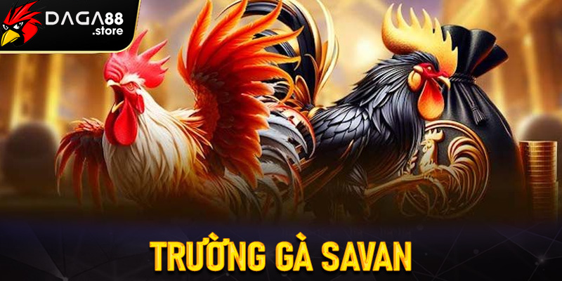 Trường gà savan